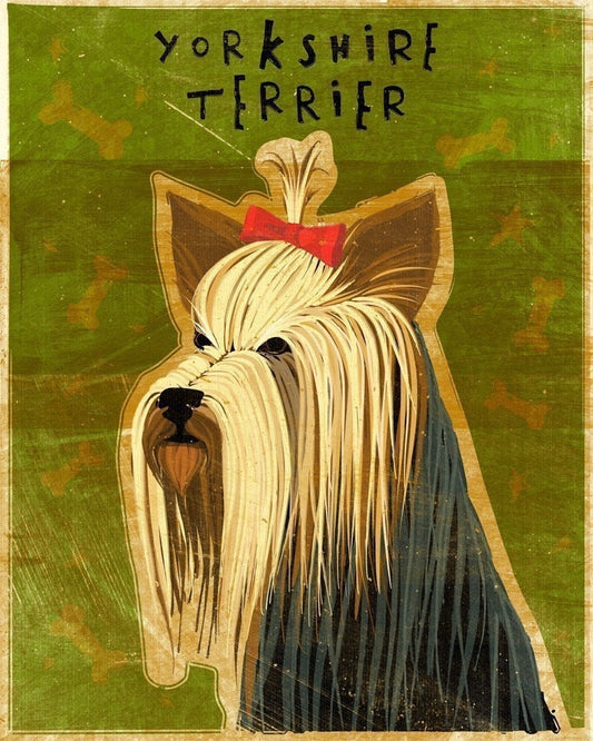Yorkshire Terrier - Print