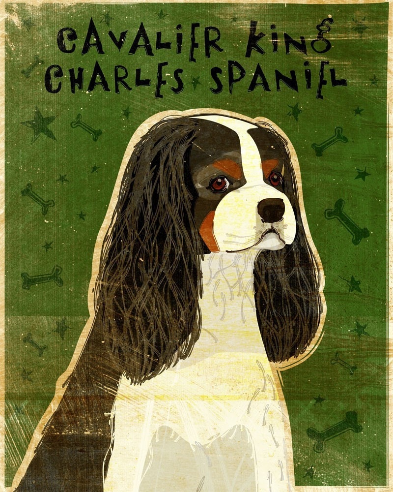Cavalier King Charles Spaniel- Tri-Color - Print
