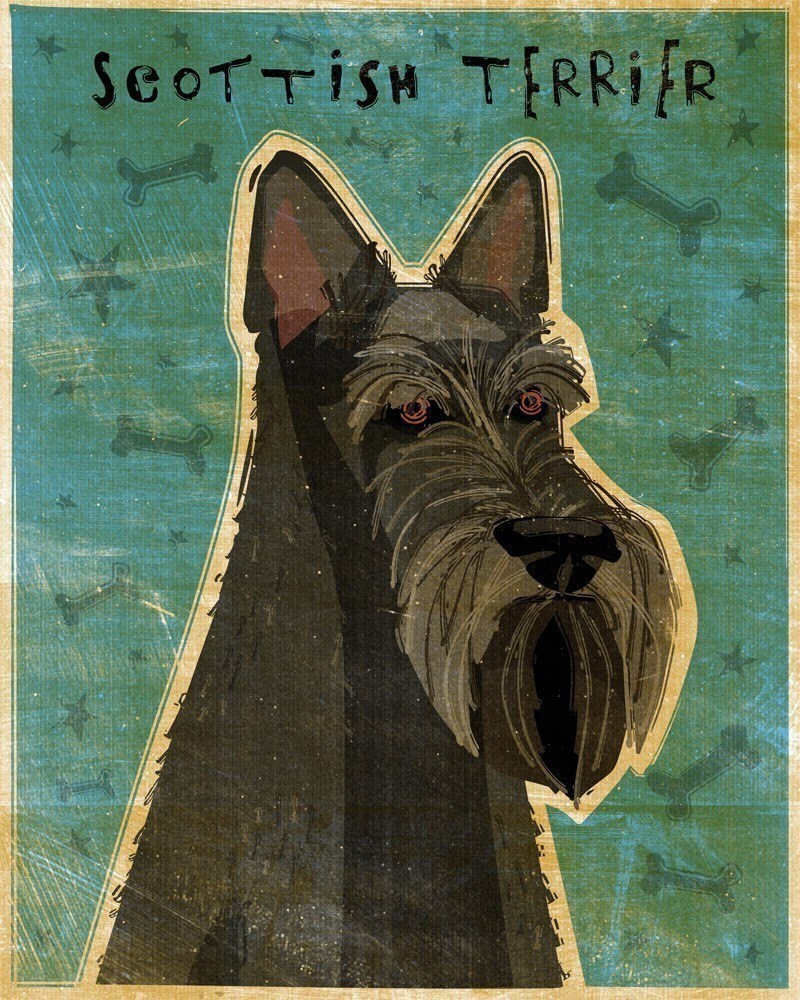 Scottish Terrier - Black - Print