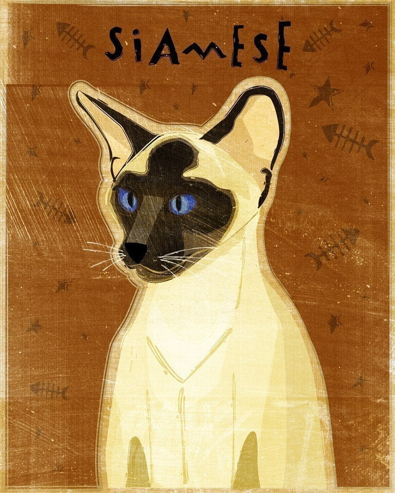 Siamese - Seal Point - Cat Print