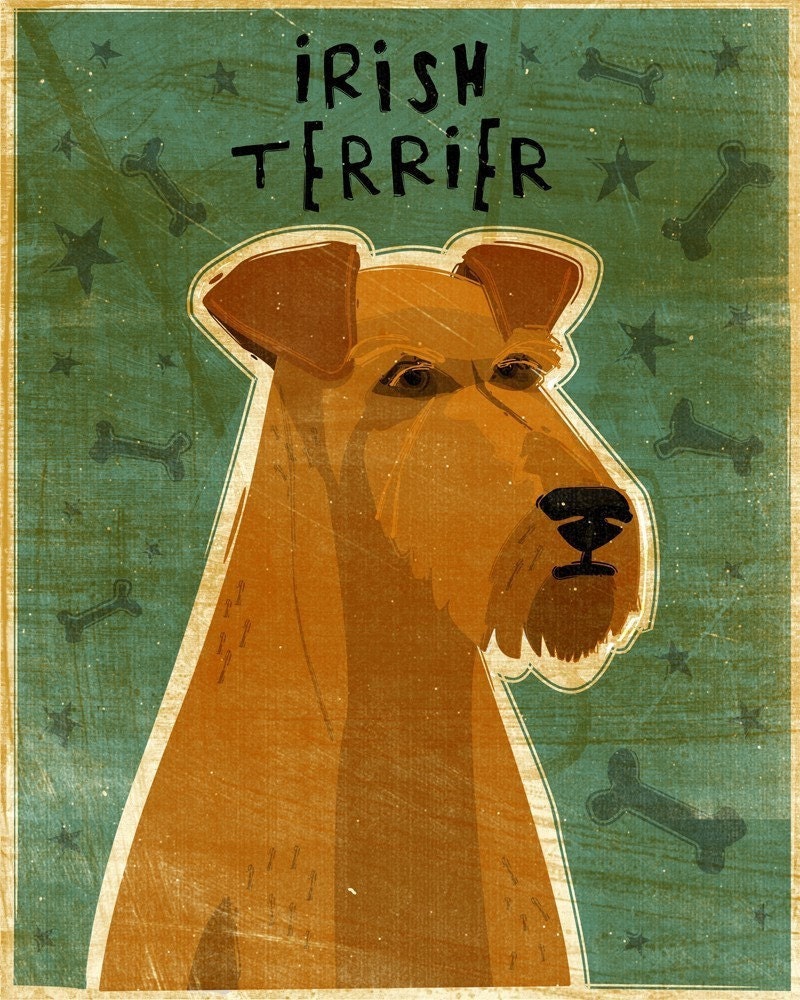 Irish Terrier - Print