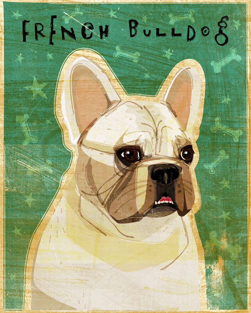 French Bulldog - White - Print