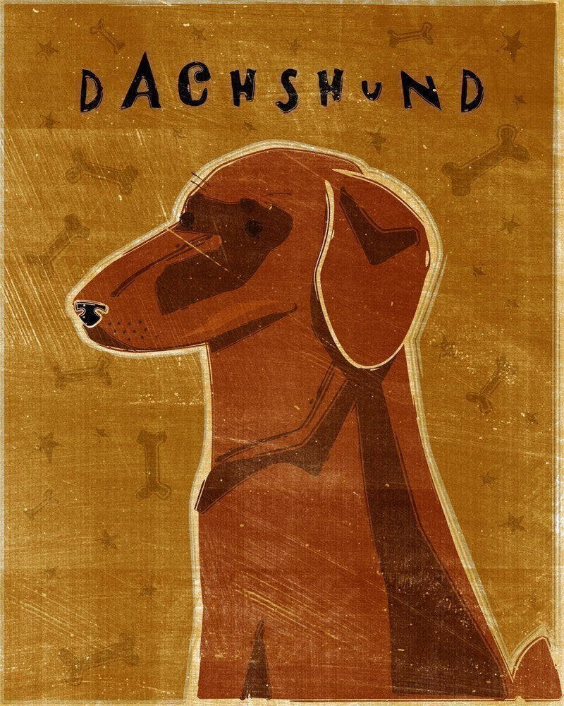 Dachshund - Red - Print