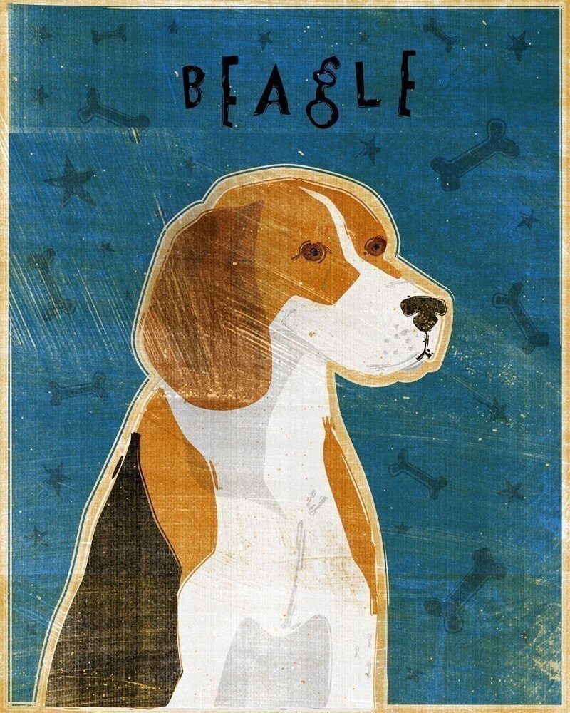 Beagle - Print
