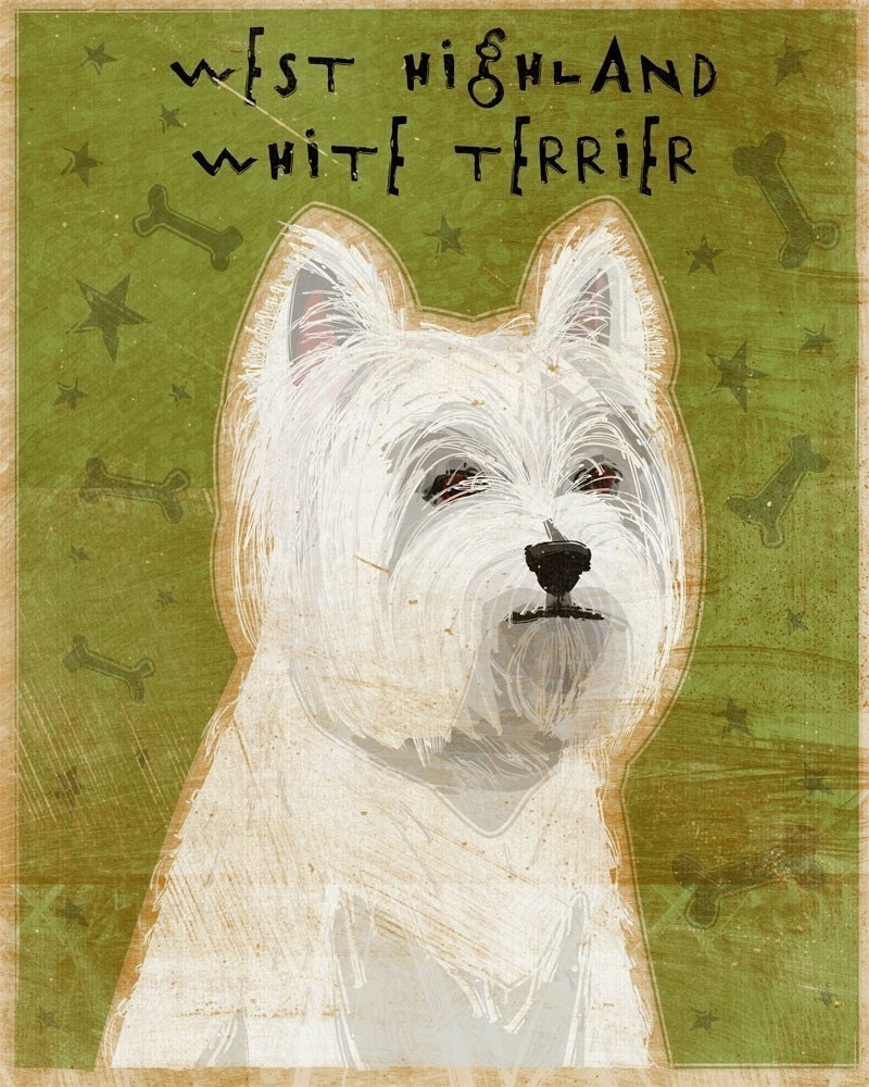 West Highland White Terrier - Print