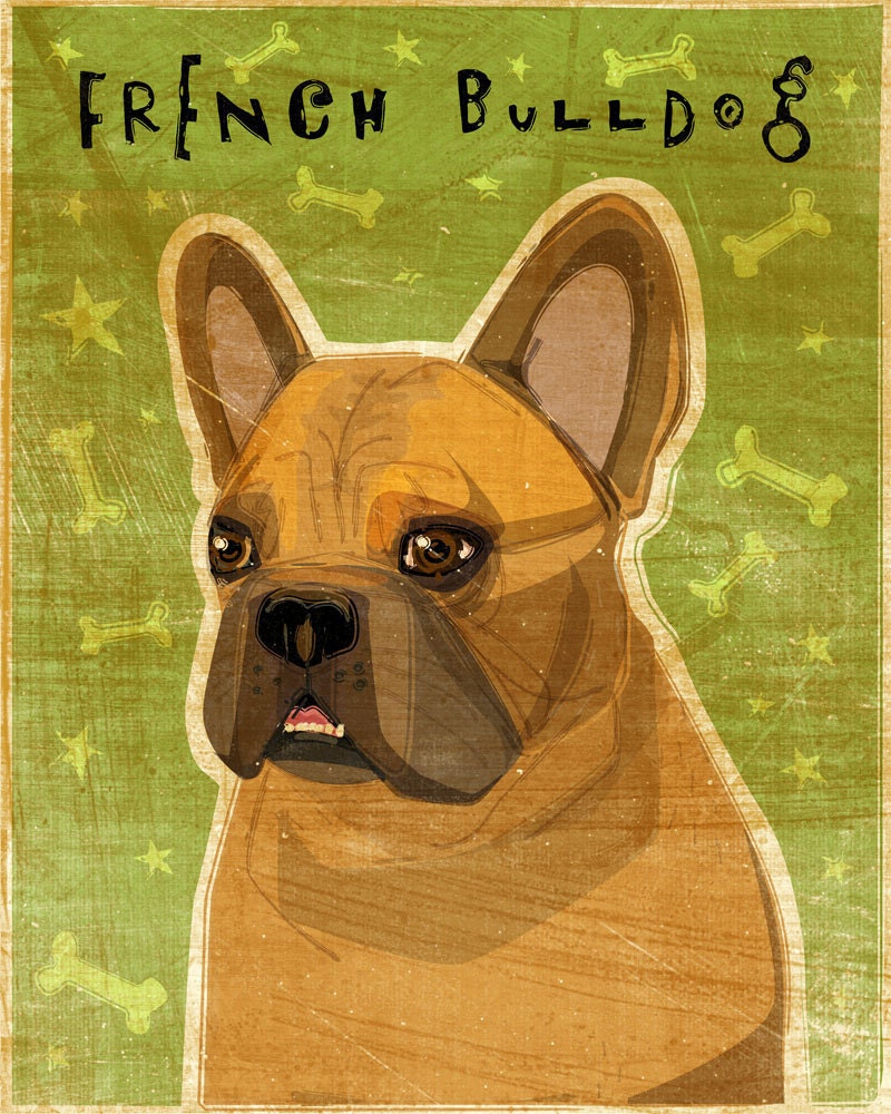 French Bulldog - Fawn - Print