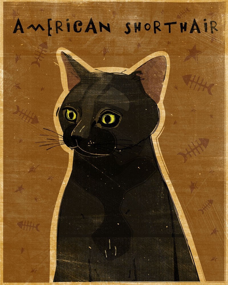 American Shorthair - Black - Cat Print