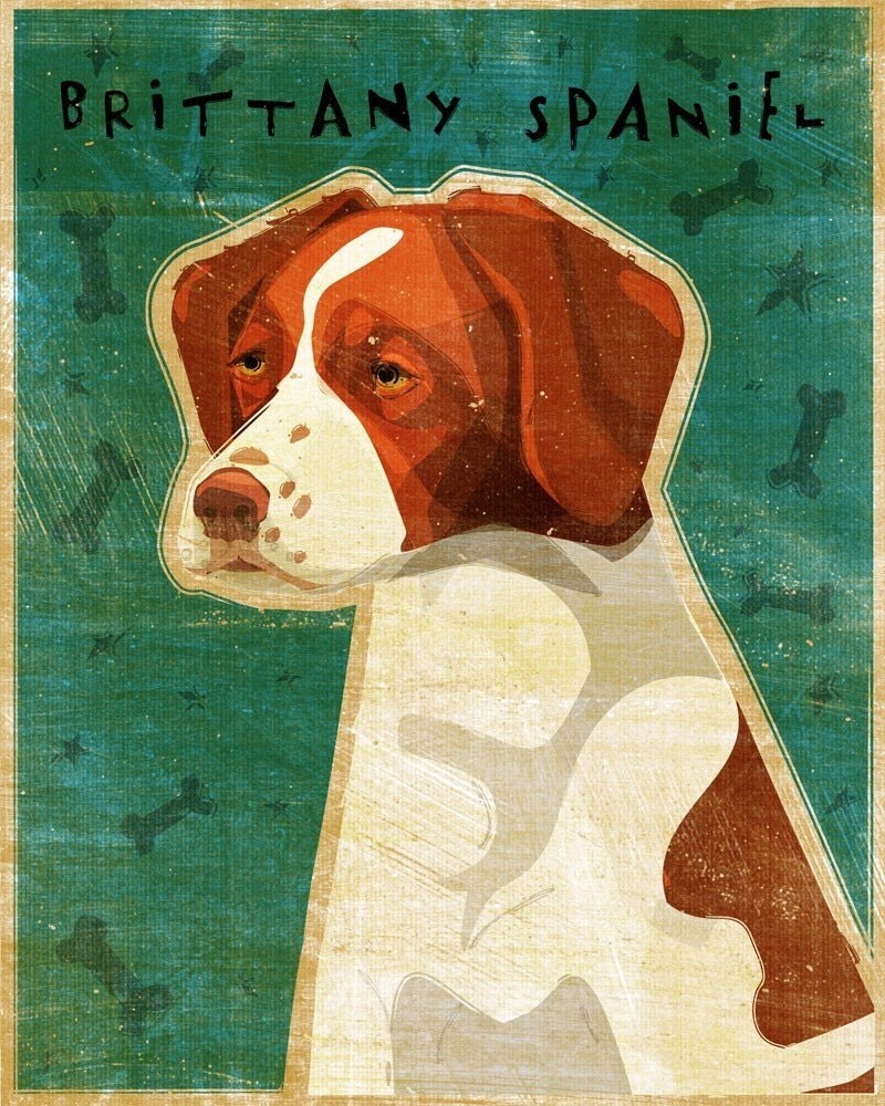 Brittany Spaniel - Print