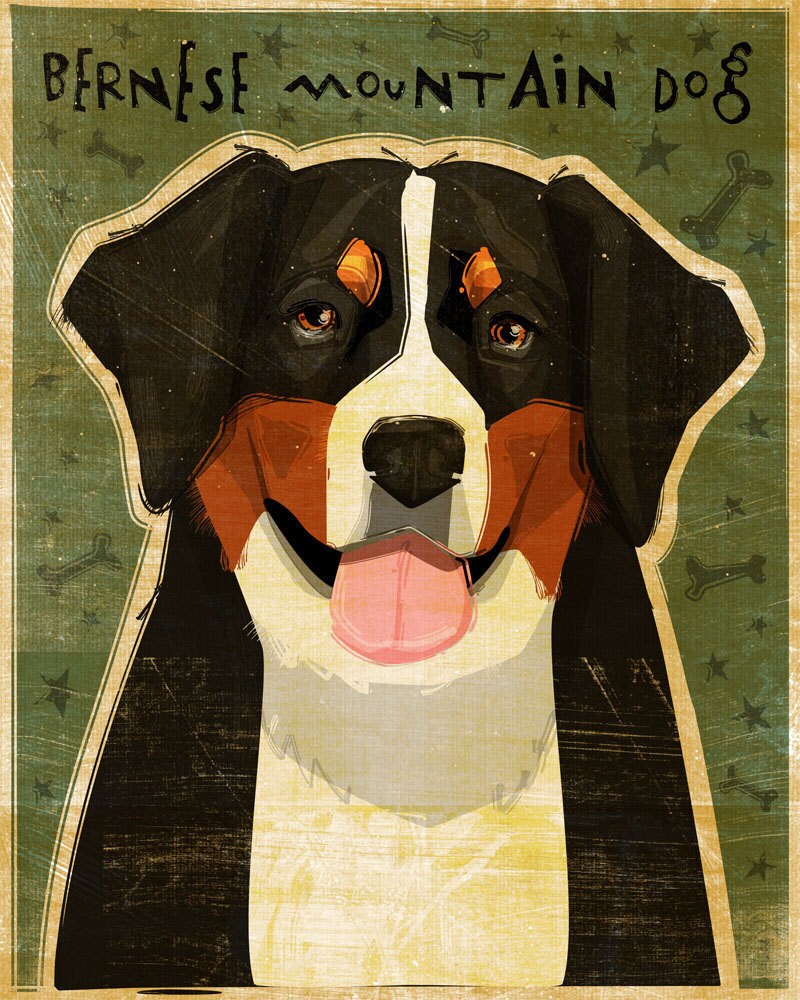Bernese Mountain Dog - Print