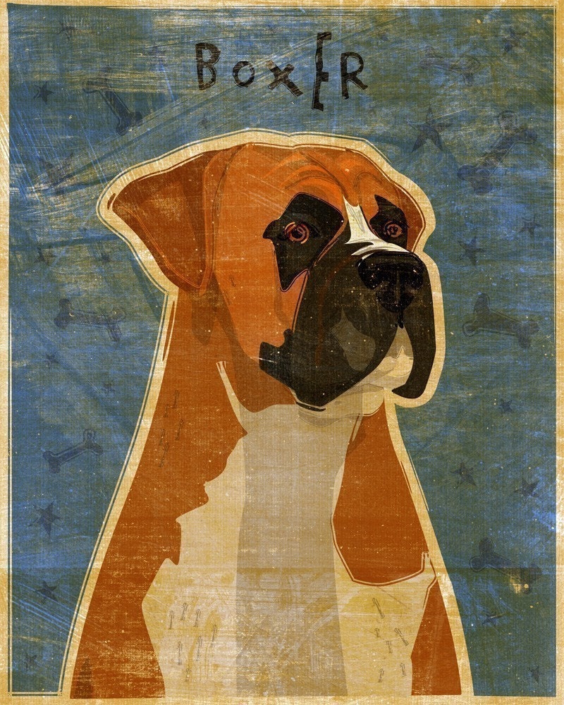 Boxer - Print