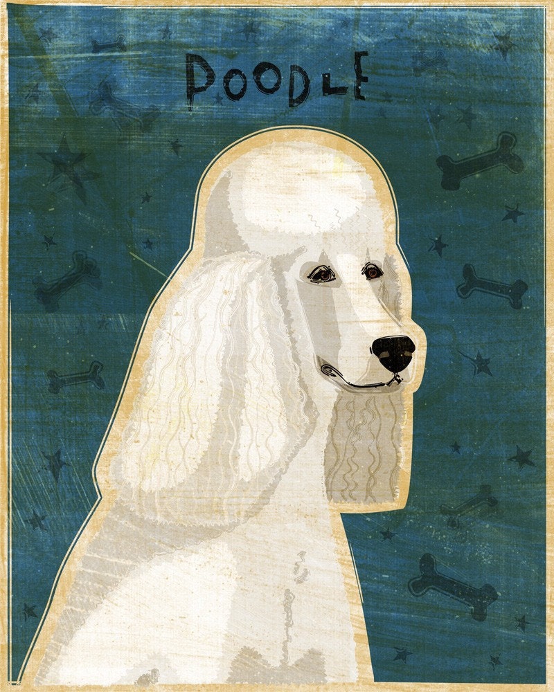 Poodle - White - Print