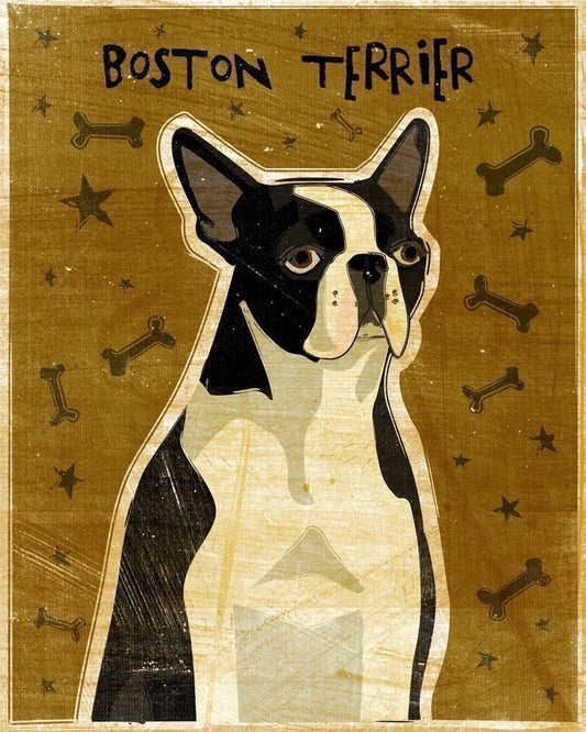 Boston Terrier - Print
