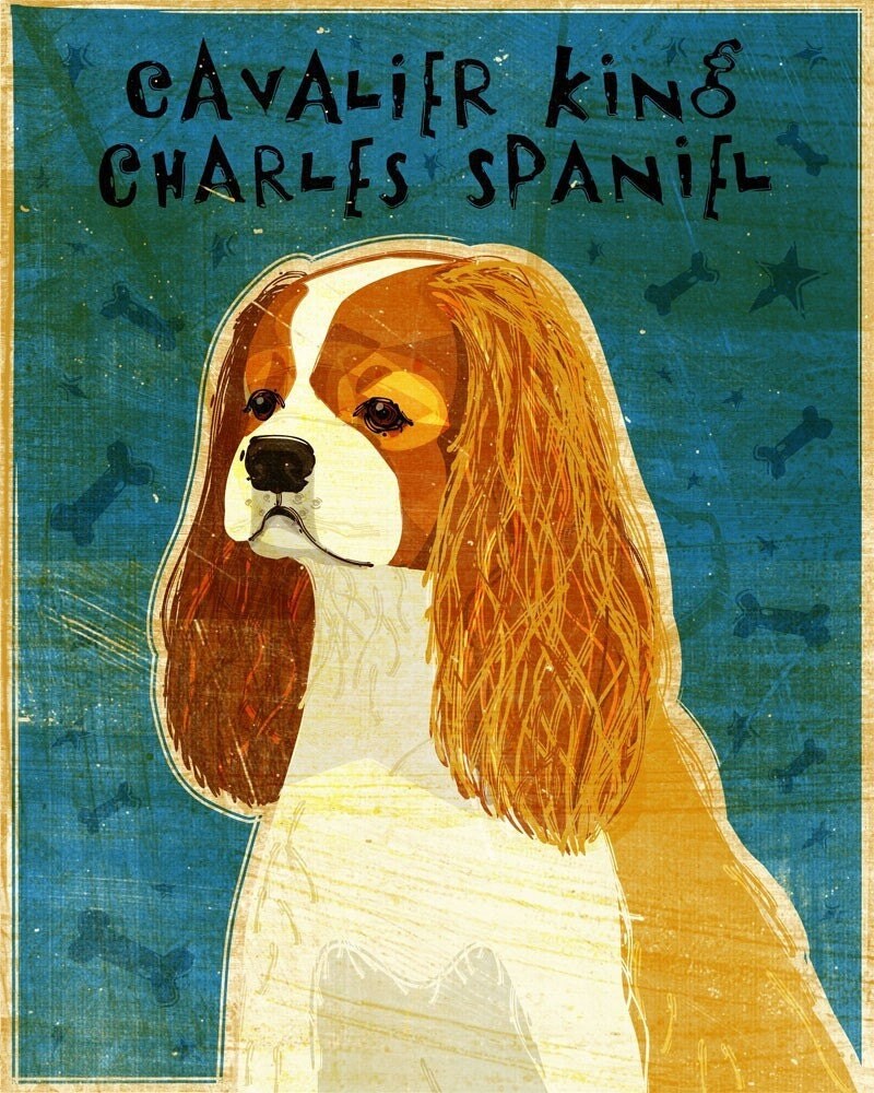 Cavalier King Charles Spaniel - Print