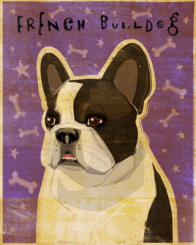 French Bulldog Art - White and Brindle - Print