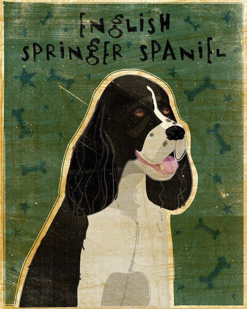 English Springer Spaniel - Black - Print