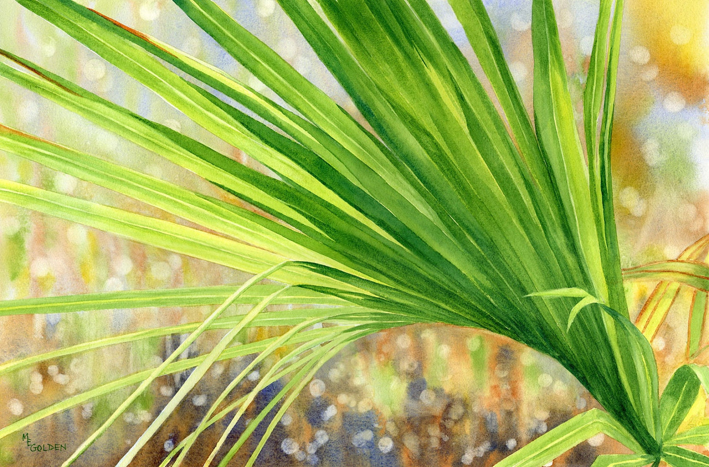 Palm Frond with sunlight shining through