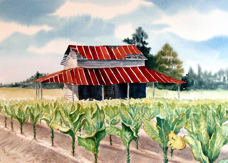 Barn with Tobacco Giclee Print