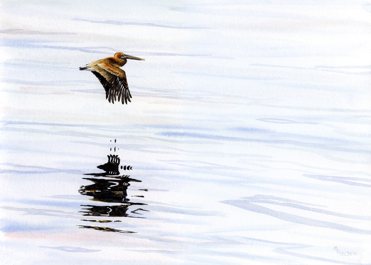 Pelican art Tranquil Reflections giclee print from watercolor