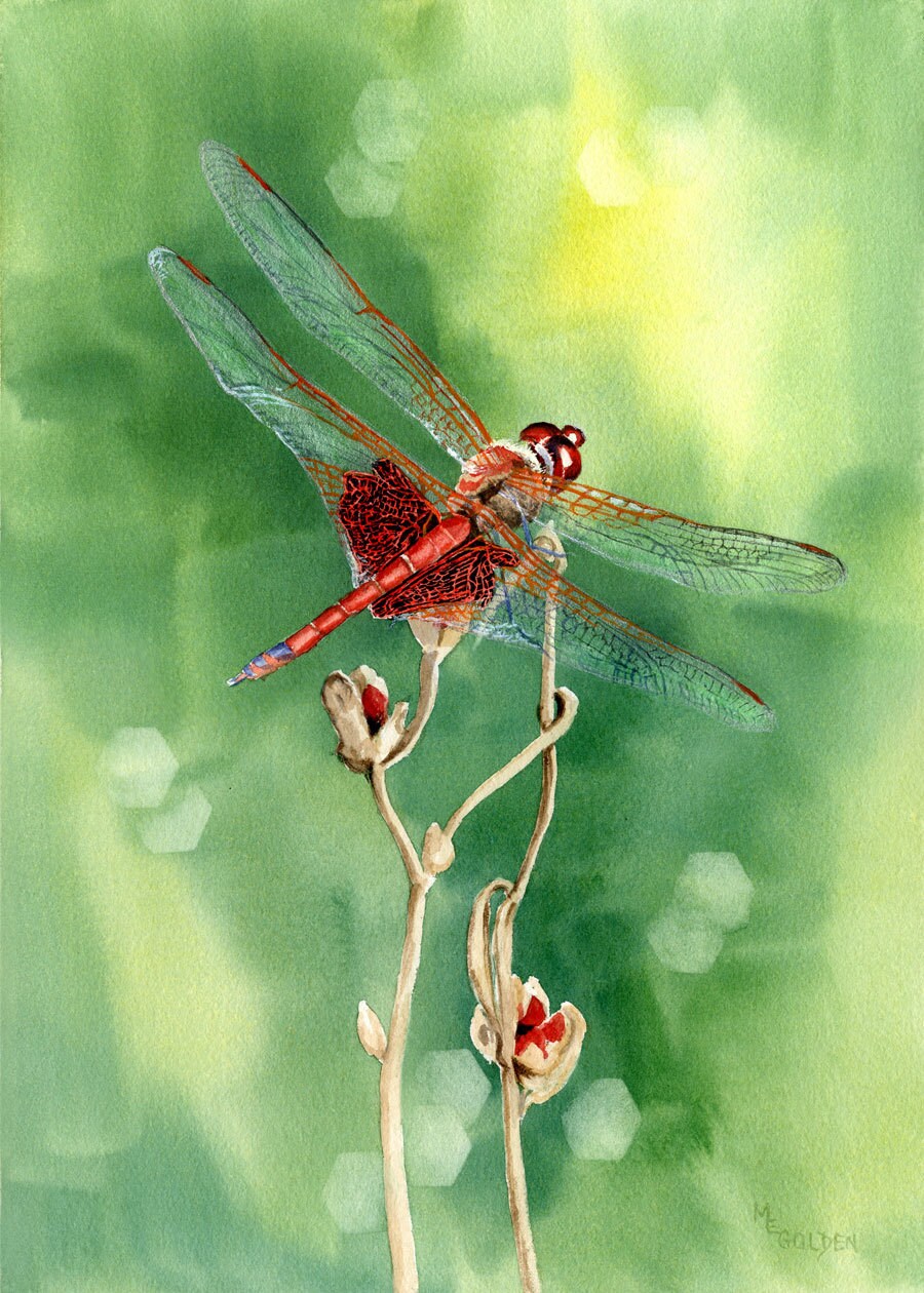 Red Dragonfly Giclee Print
