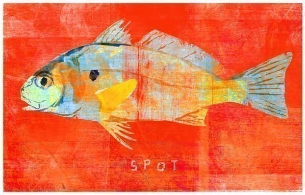 Fish Art - 3 Little Fishies - Set of 3 Prints 4 in x 6 in