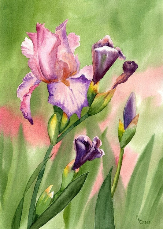 Colors of Spring Giclee Print
