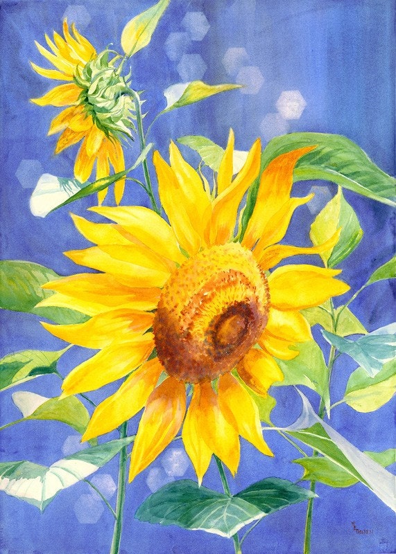 Sunflower giclee print